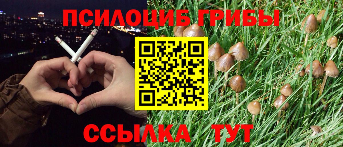 Псилоцибиновые грибы мухоморы  Галлюциногенные грибы Psilocybine cubensis  Вход с VPN  Изобильный 